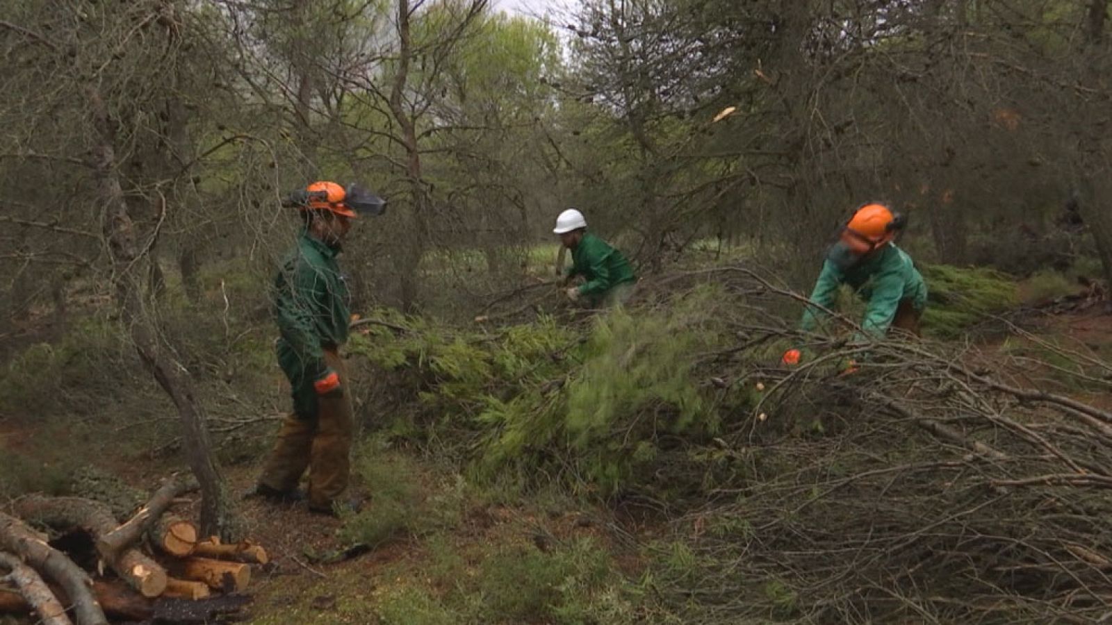 Comando Actualidad - Cómplices del cambio - ver ahora