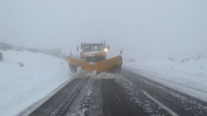 Telecanarias - Telecanarias - 06/12/2019