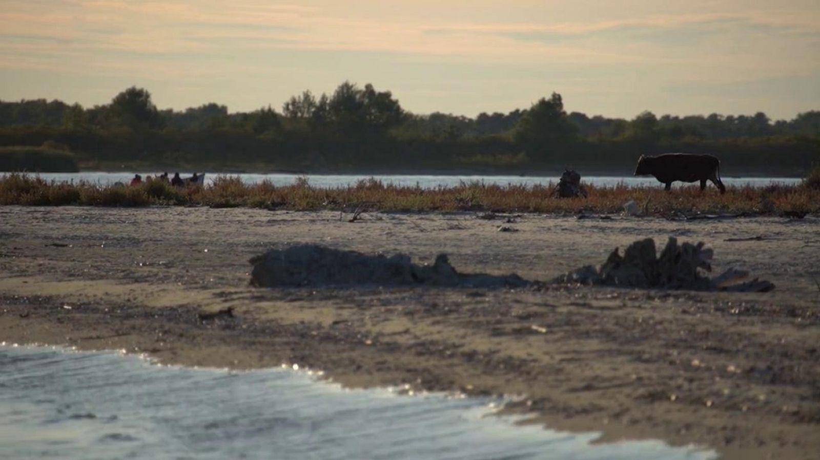 El escarabajo verde - Esturión de vuelta (Segunda parte) - ver ahora