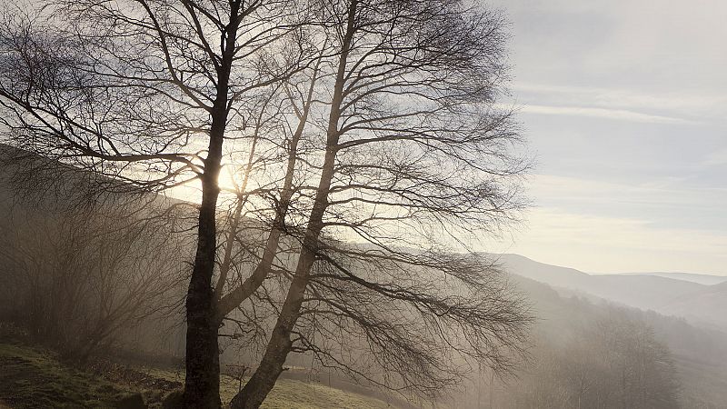 Cielo despejado en la mayor parte del país, con niebla densa en el interior - Ver ahora