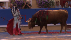 Tendido cero - 07/12/19