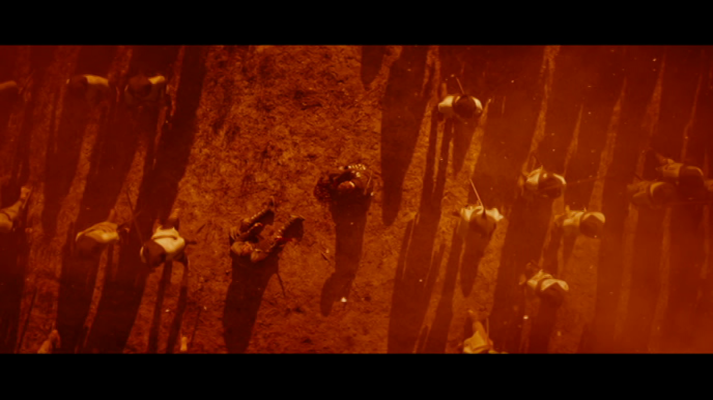 El cine de La 2 - Macbeth (presentación)