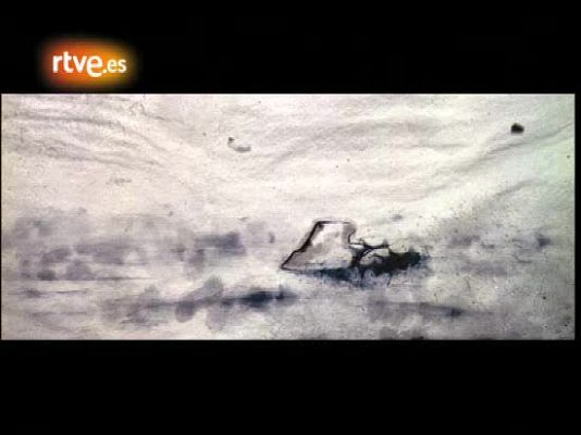 Tráiler de 'Arráncame la vida'