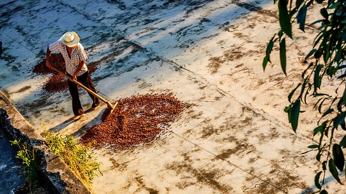 El Banco Mundial calcula un millón y medio de refugiados climáticos en Centroamérica para 2050