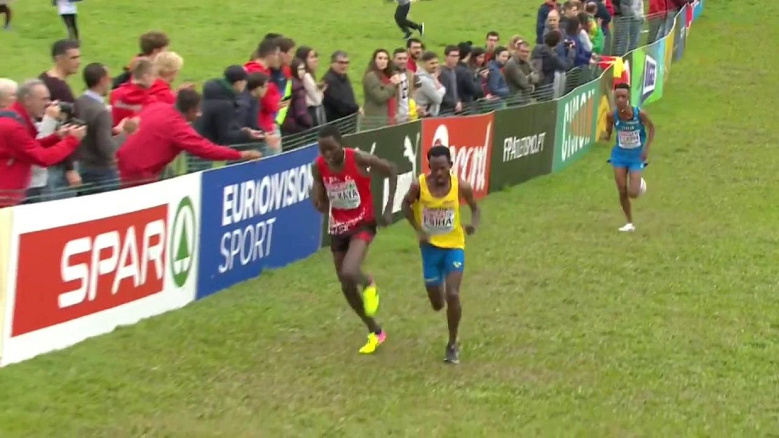 Atletismo Cross - Campeonato de Europa Carrera Senior Masculina - ver ahora