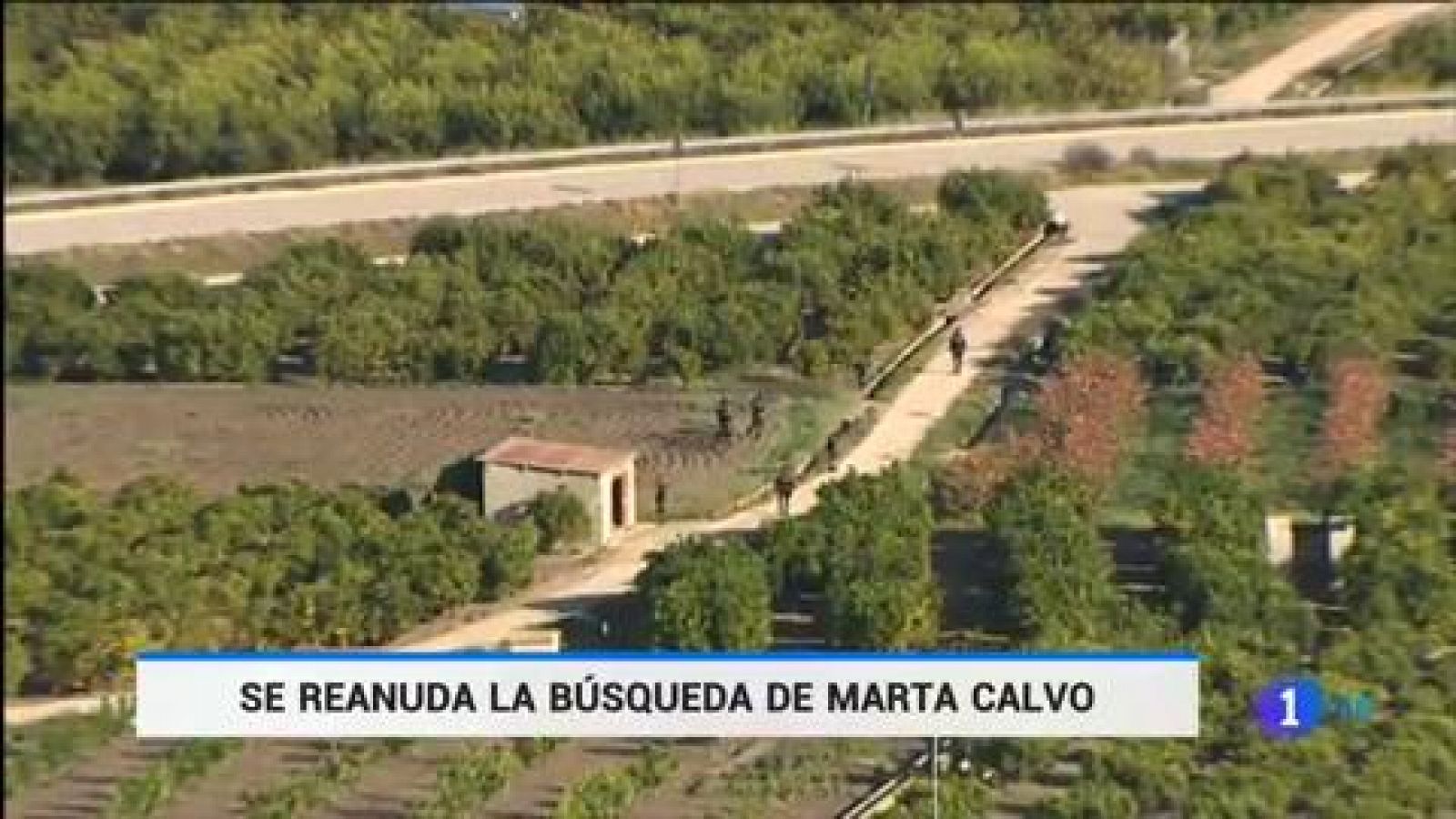 Telediario 1: Se reanuda la búsqueda del cuerpo de Marta Calvo por las localidades de Manuel y alrededores | RTVE Play