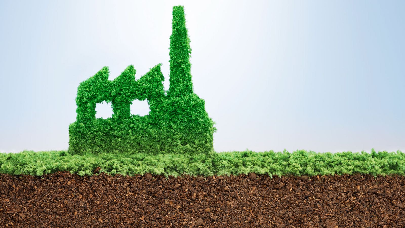 ¿Son todas las iniciativas ecológicas realmente 'verdes'?