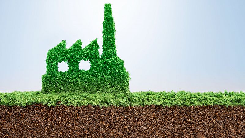 �Son todas las iniciativas ecol�gicas realmente 'verdes'?