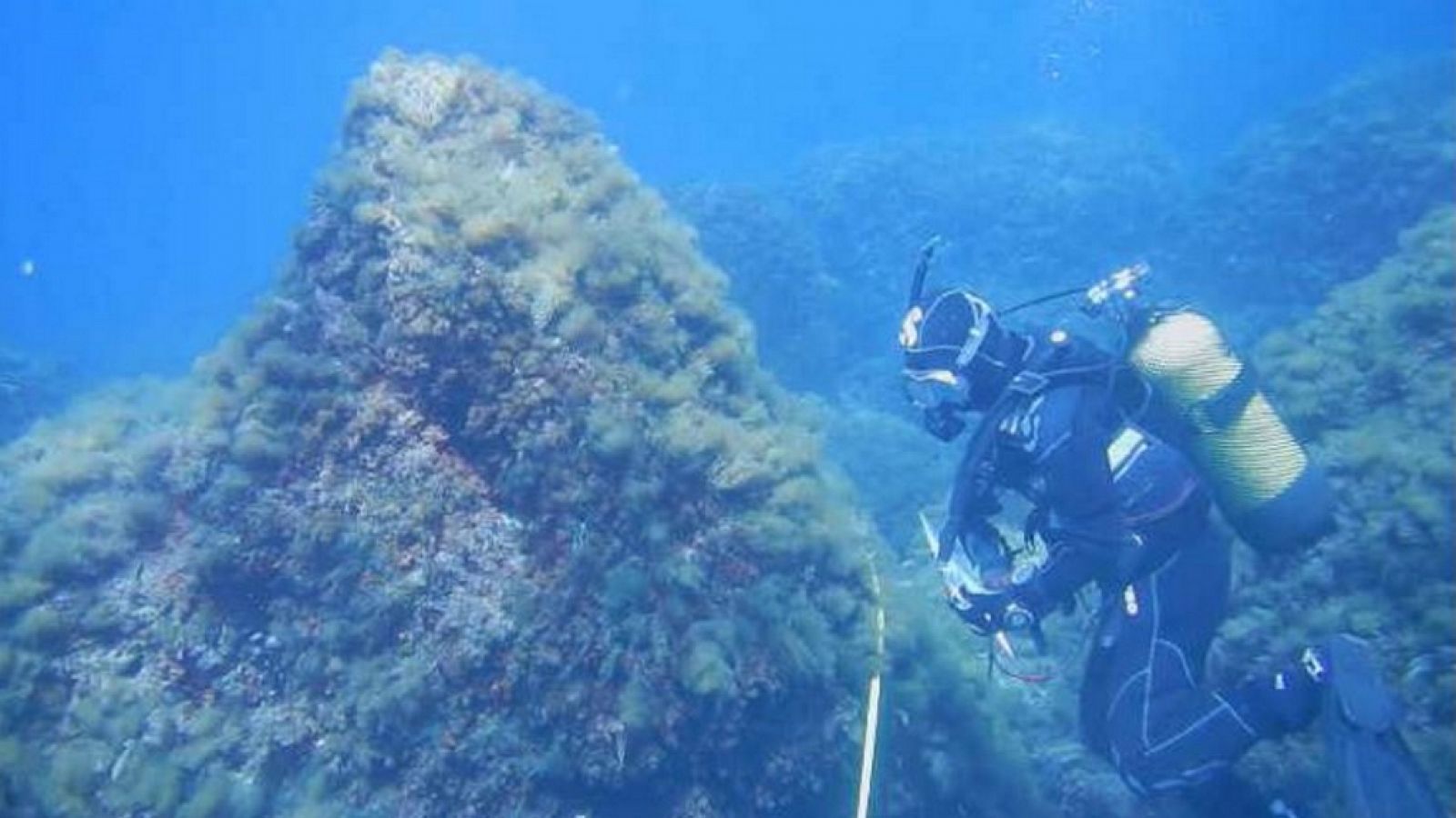 Lab24 - Copiando la naturaleza y Oceanografía de proximidad - RTVE.es