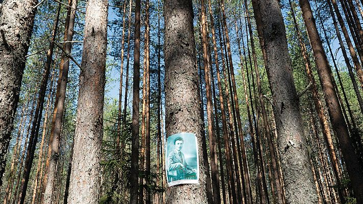 Metrópolis - Multiverso 2018/2019 (I)