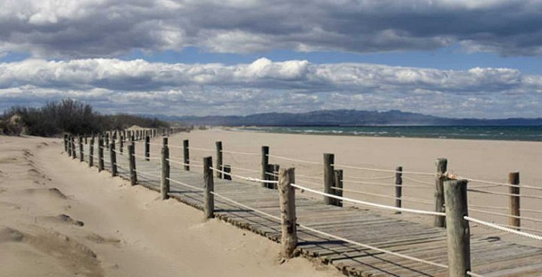 ¿Cómo afecta a nuestros campos el cambio climático?