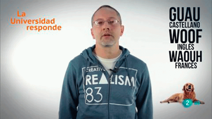 La aventura del Saber - ¿Los animales hablan igual en inglés que en español?