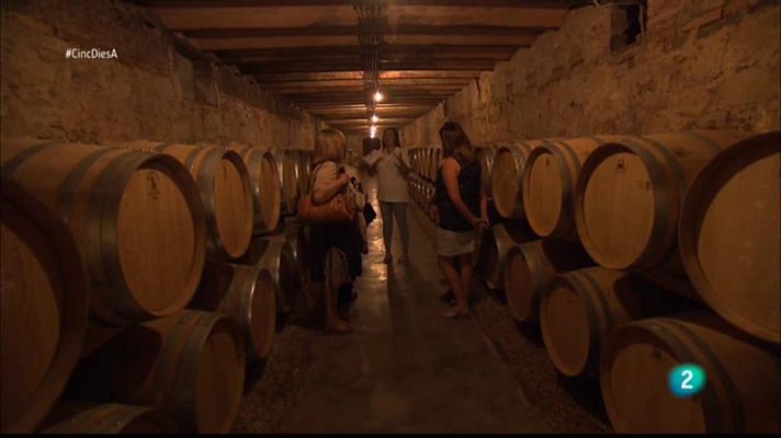 Cinc dies a... - El Castell del Remei