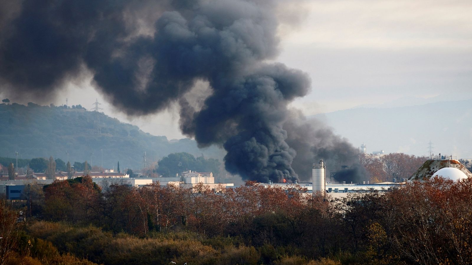 La Mañana - 11/12/19 - ver ahora