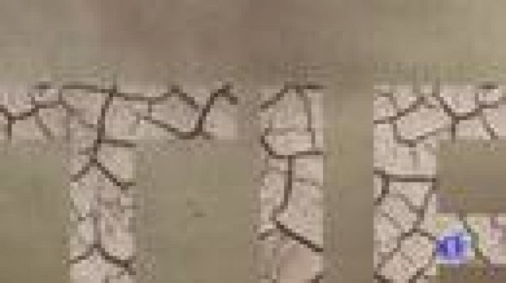 Noticias de Castilla-La Mancha - El Tiempo en Castilla-La Mancha - 11/12/19