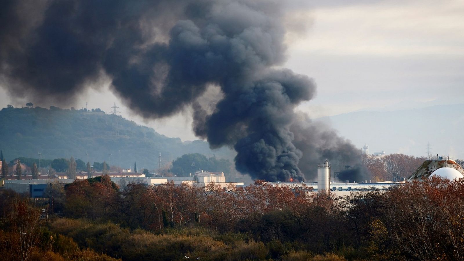 Telediario - 15 horas - 11/12/19 - Lengua de signos - RTVE.es