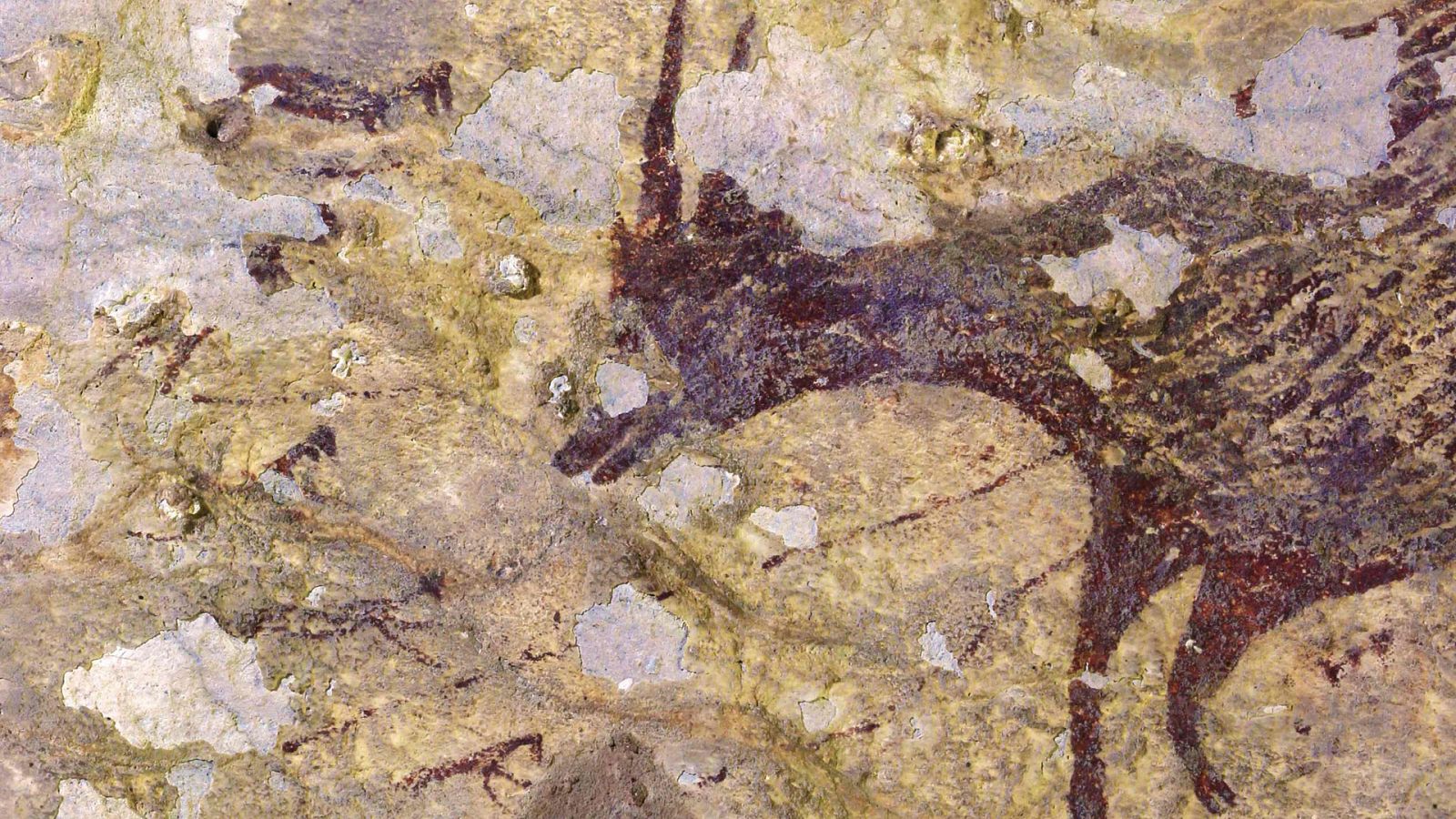 Un grupo de arqueólogos ha descubierto en Indonesia las pinturas rupestres más antiguas del mundo - RTVE.es