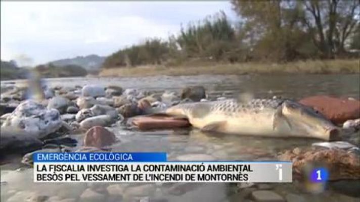 L'Informatiu - L'Informatiu en 3' - 12/12/2019