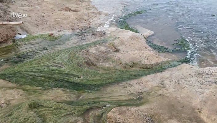 Informe Semanal - Así llegan los vertidos al Mar Menor