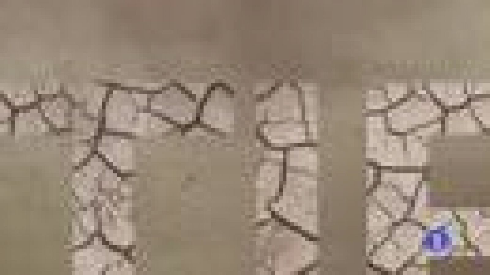 El Tiempo en Castilla-La Mancha - 12/12/19 | Ver