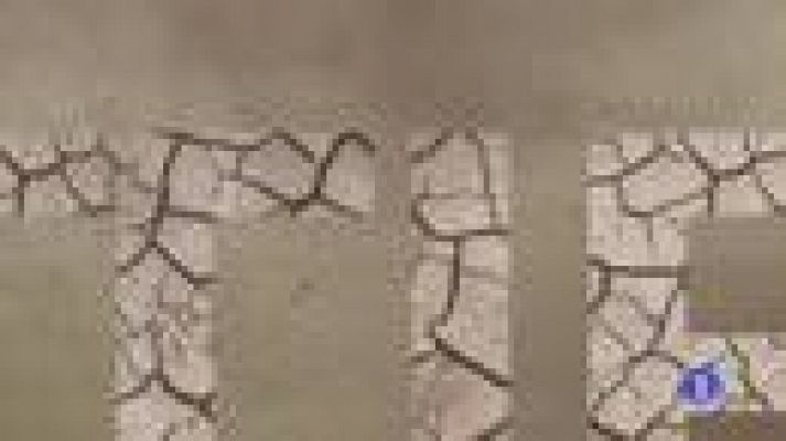 Noticias de Castilla-La Mancha - El Tiempo en Castilla-La Mancha - 12/12/19