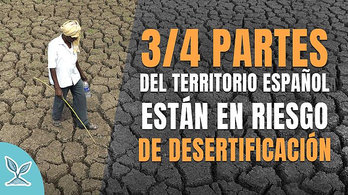Telediario 1 - #EstamosATiempo: El 74% del territorio español está en riesgo de desertificación