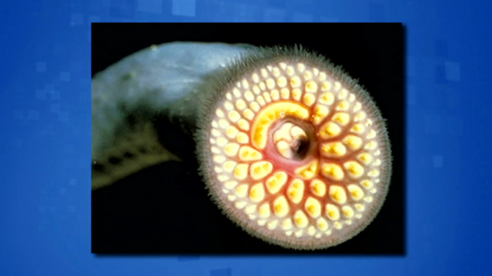 Saber y ganar - Saber y ganar - 12/12/19