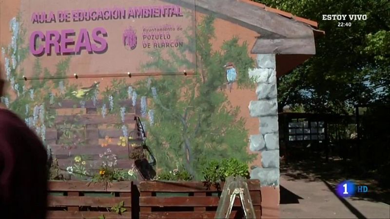 ¿Qué hacer con las hojas que caen de los árboles? 