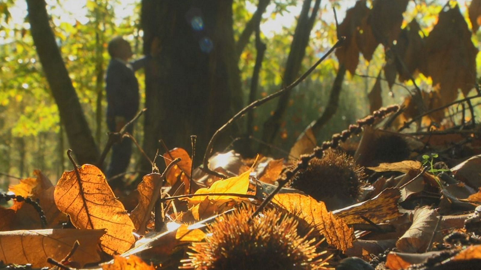 Aquí la Tierra - 12/12/19 - RTVE.es