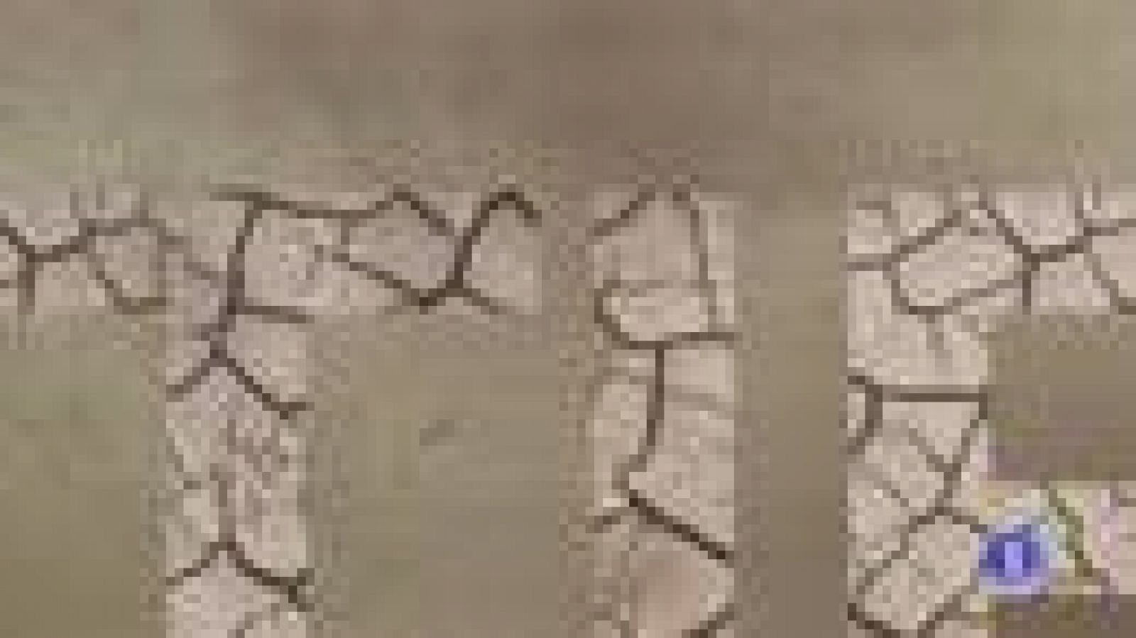 El Tiempo en Castilla-La Mancha - 13/12/19 | Ver