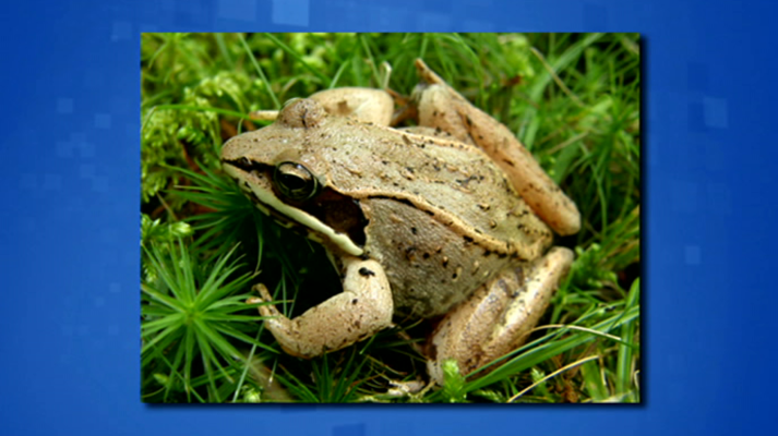 Saber y ganar - Saber y ganar - 13/12/19