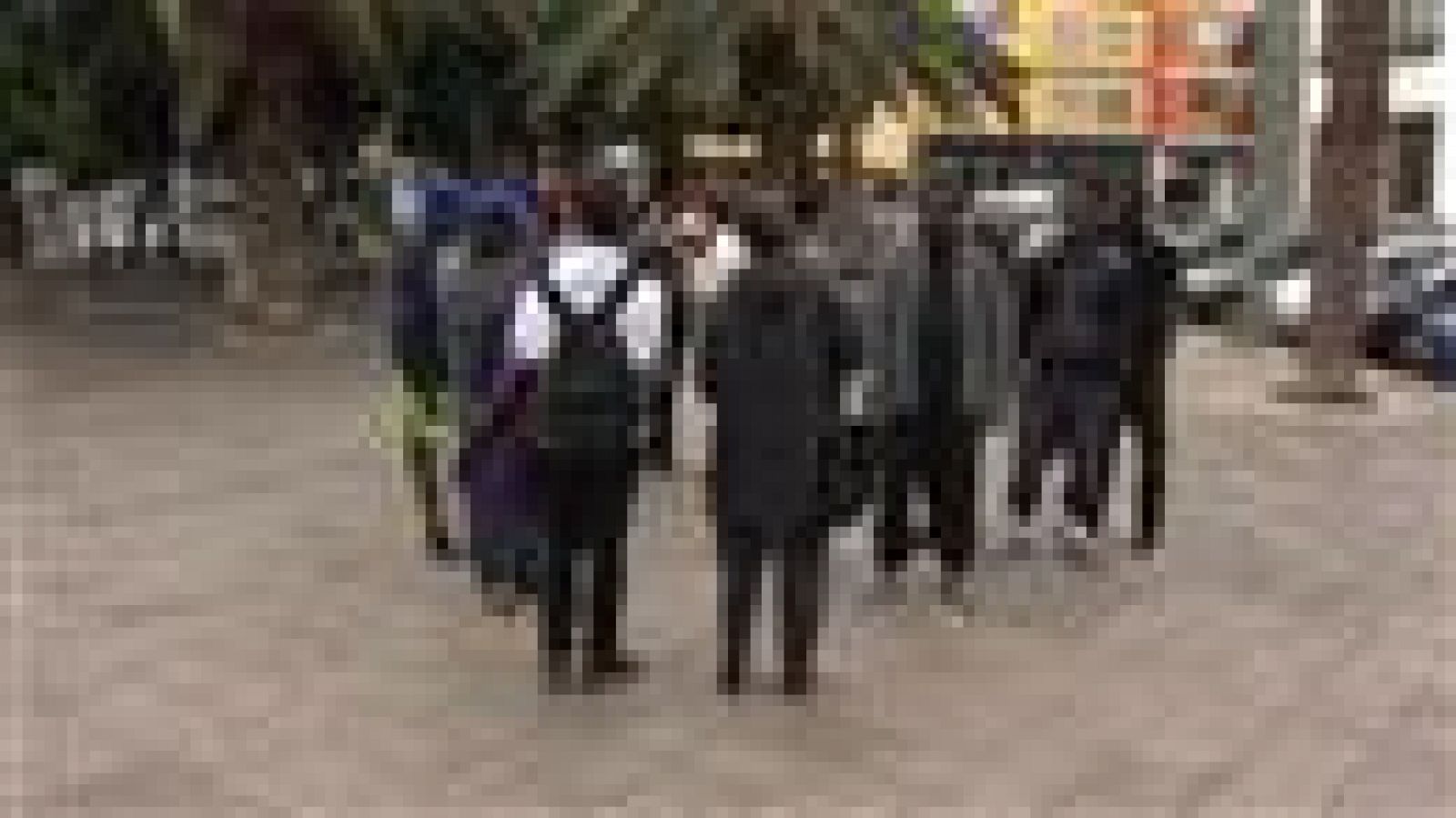 Canarias en 2' - 13/12/2019