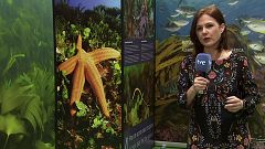 Agrosfera - 14/12/19