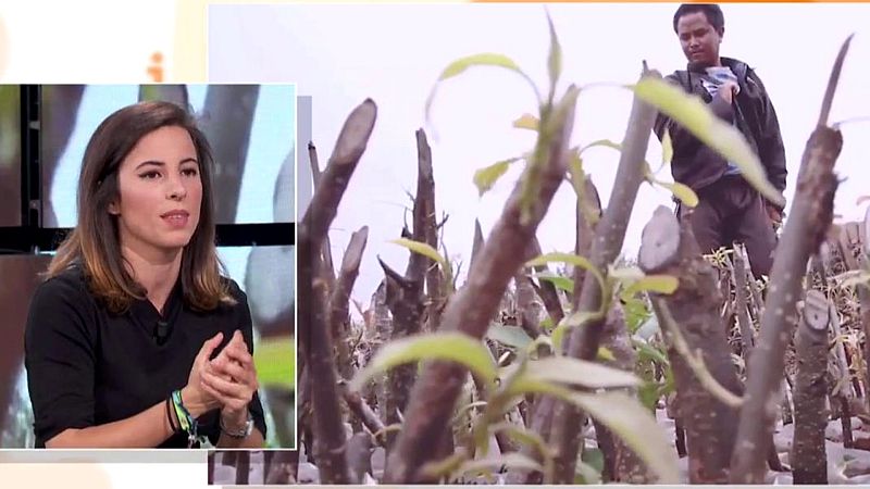 F�brica de ideas de TVE - 14/12/19 - ver ahora