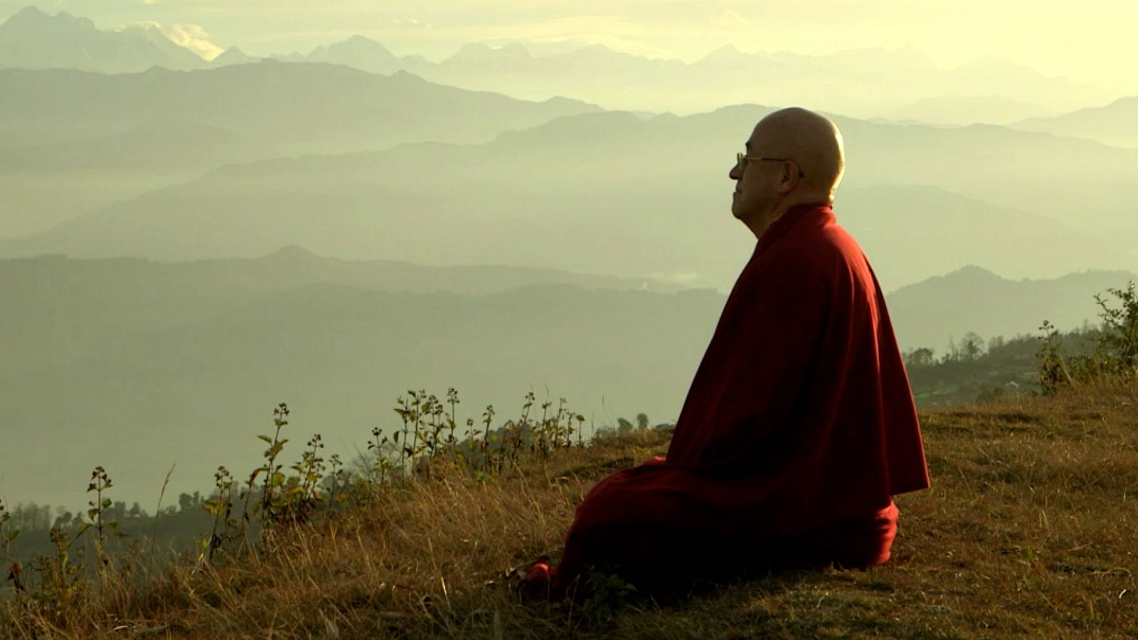 La noche temática - La revolución del altruismo - ver ahora