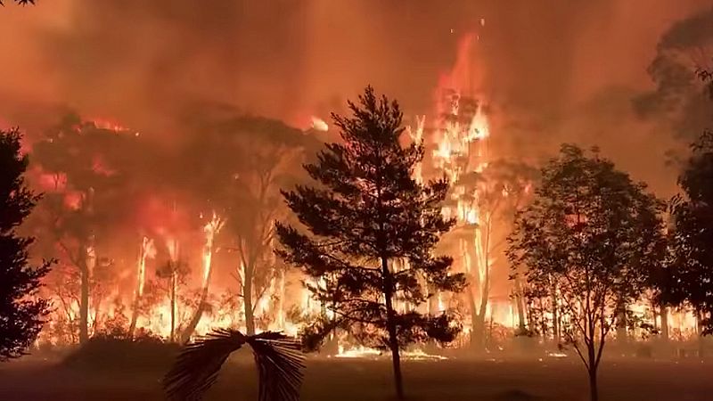 El fuego calcina ya más de un millón de hectáreas en Australia desde noviembre