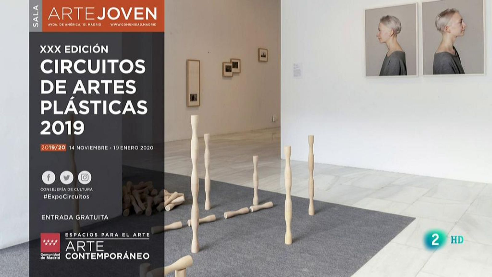 La aventura del saber Circuitos de Artes Plásticas de la Comunidad de Madrid 19 de enero en la Sala Arte Joven de Madrid.