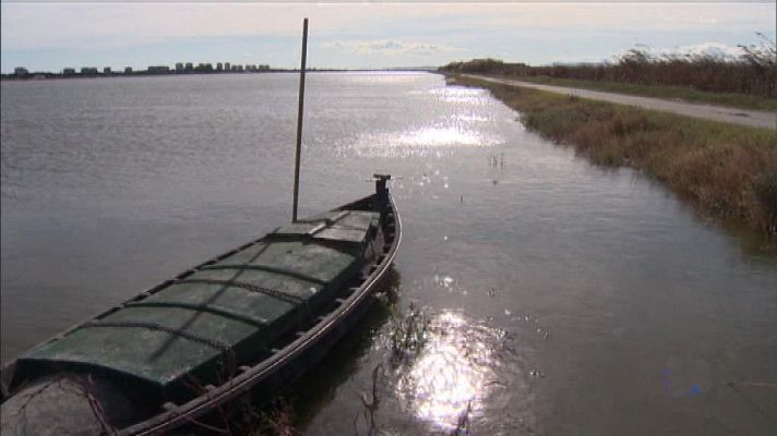 L'informatiu - Comunitat Valenciana - L'Informatiu - Comunitat Valenciana 2 - 16/12/19