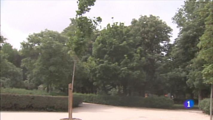 Informativo de Madrid - Informativo de Madrid 2 - 16/12/19