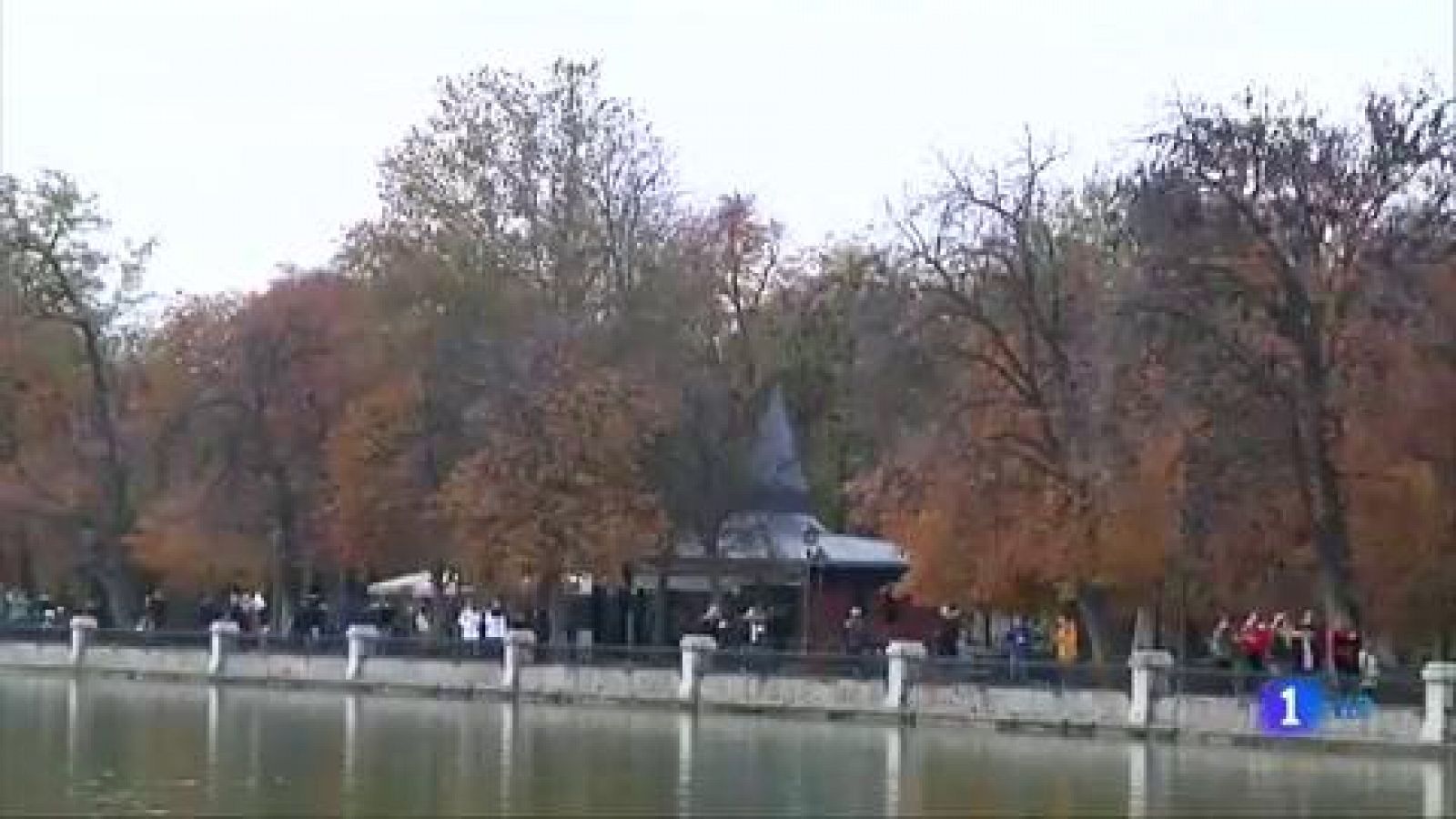 La cantante Tamara, Terrícola de Honor