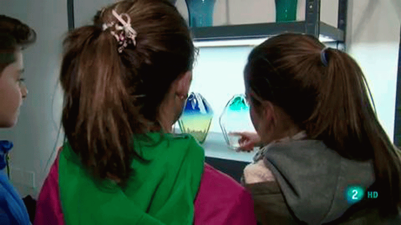 La aventura del saber Semana de la Ciencia en el MAVA Museo de Arte Contemporáneo en Vidrio de Alcorcón