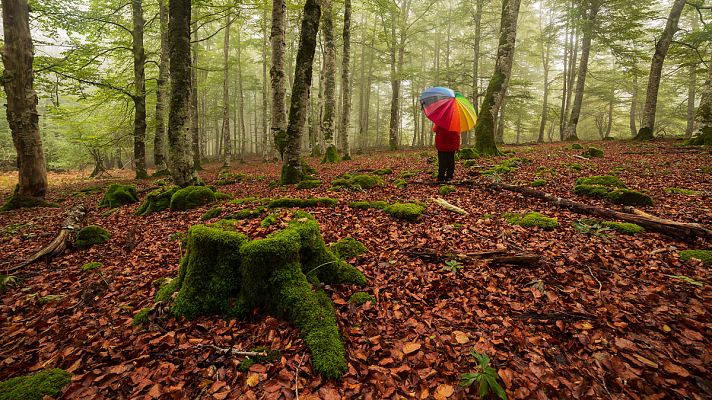 El invierno será cálido y seco, tras el undécimo otoño más templado desde 1965