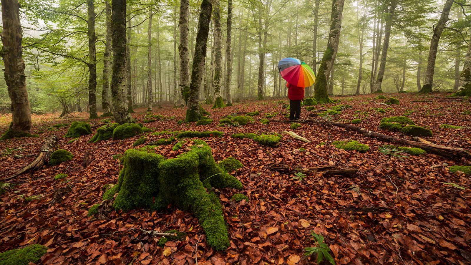 El inicio del invierno, fijado para el 22 de diciembre a las 05:19 hora peninsular, se prevé más cálido, en general, y seco, un clima que se acrecenta cuanto más al sur del país. Este período estival continua la tendencia "calurosa", después de que e