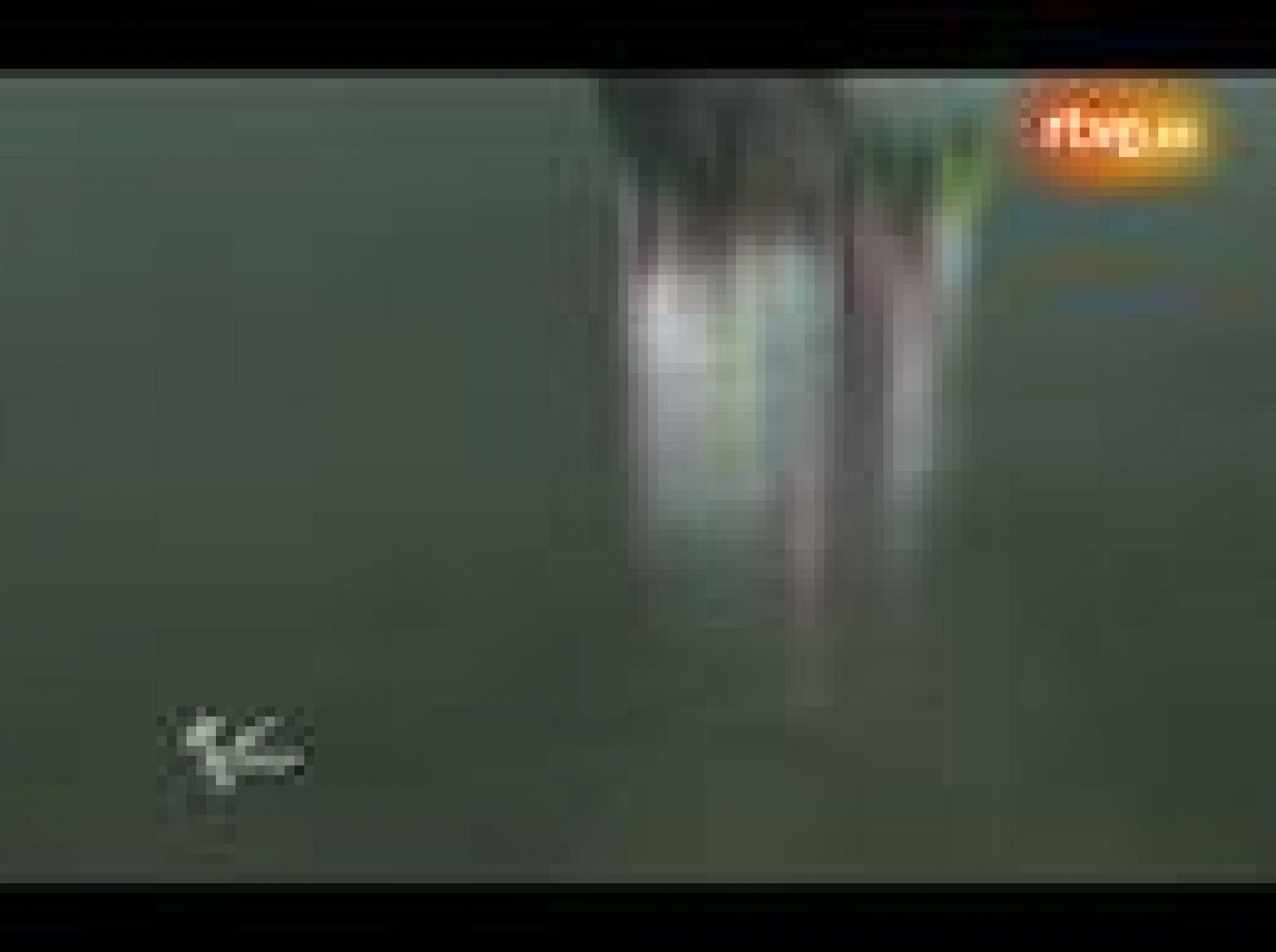 Lluvia molesta, pero bella | Ver