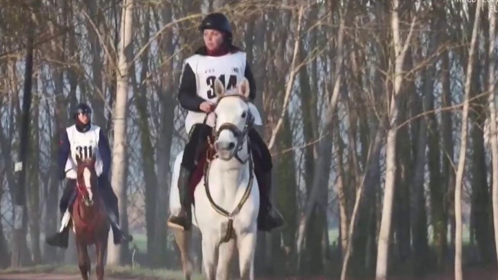 Evasión - T7 - Raid Internacional Santa Susana - ver ahora