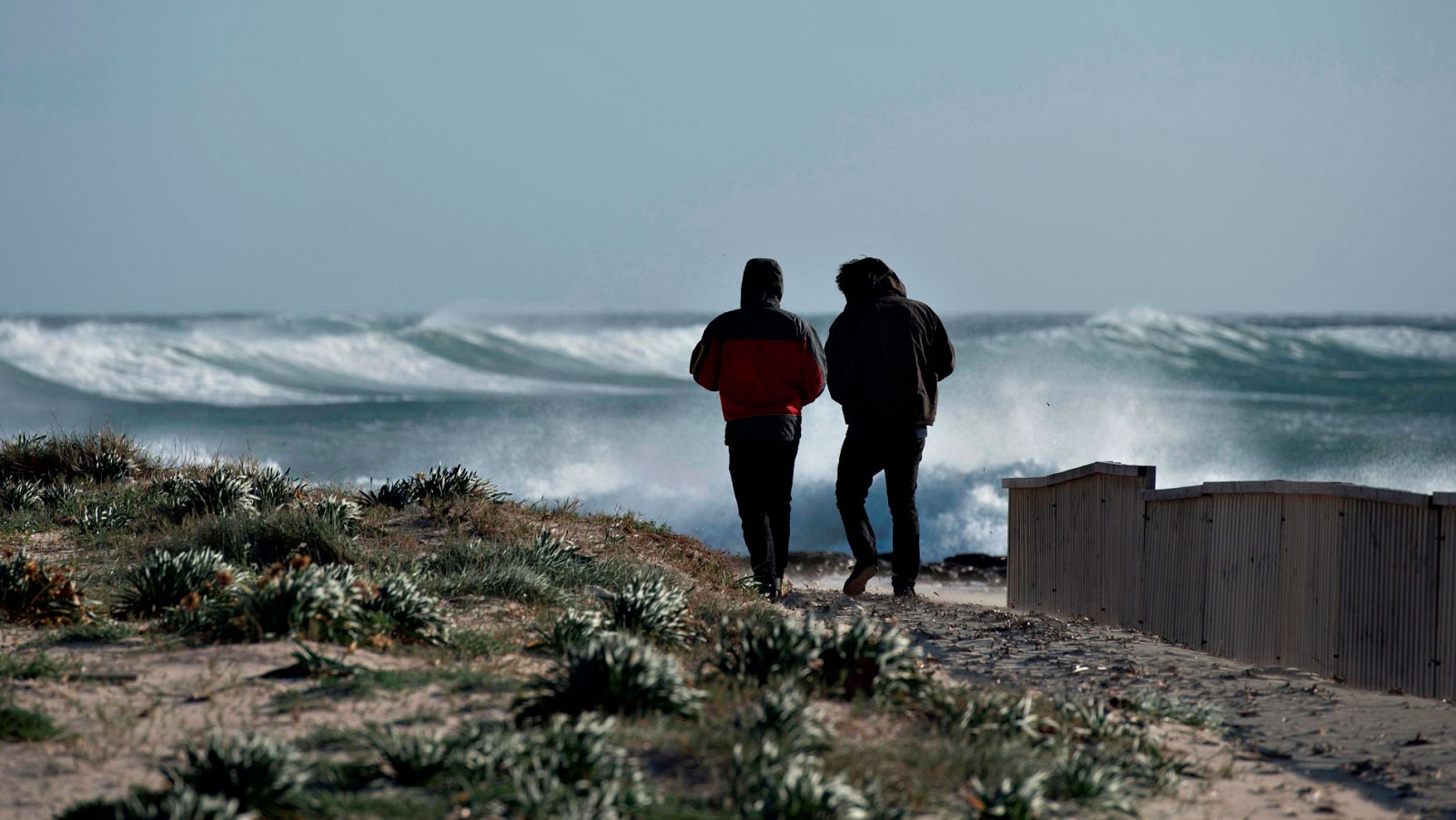 Fabien - El temporal mantiene en alerta a todo el país, con rachas de viento que han llegado a 180 kilómetros por hora