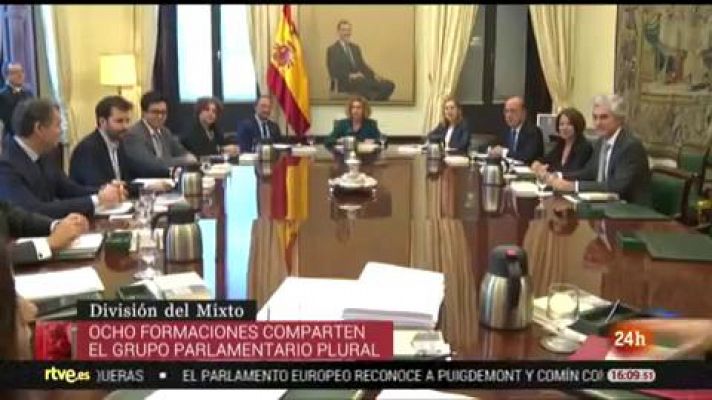 Grupo Plural en el Congreso