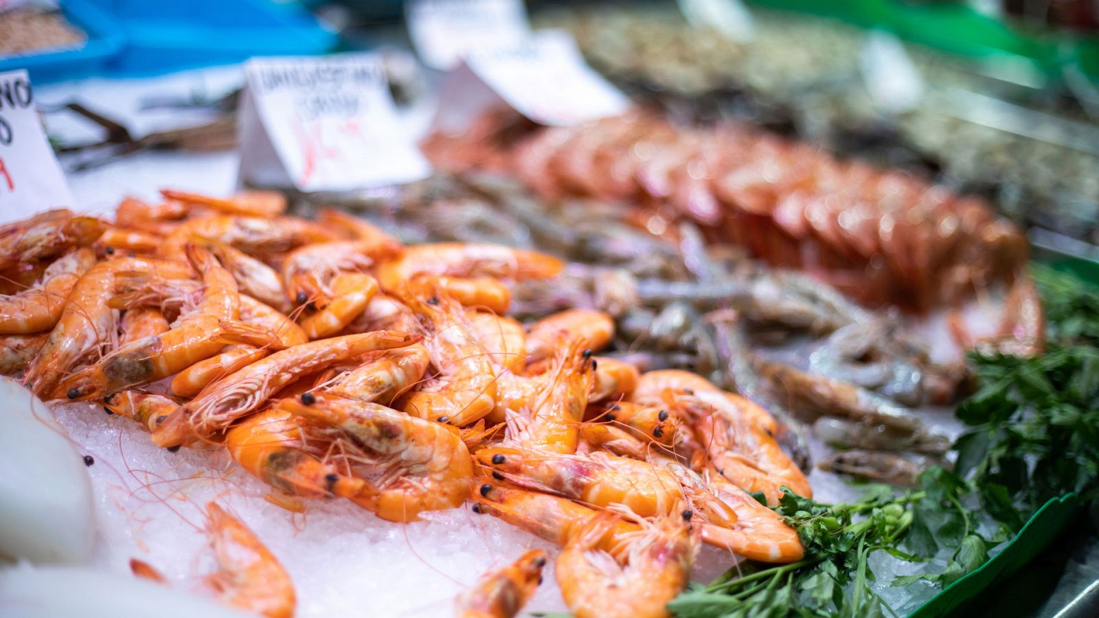 Telediario 1 en cuatro minutos - 24/12/19 - Ver ahora