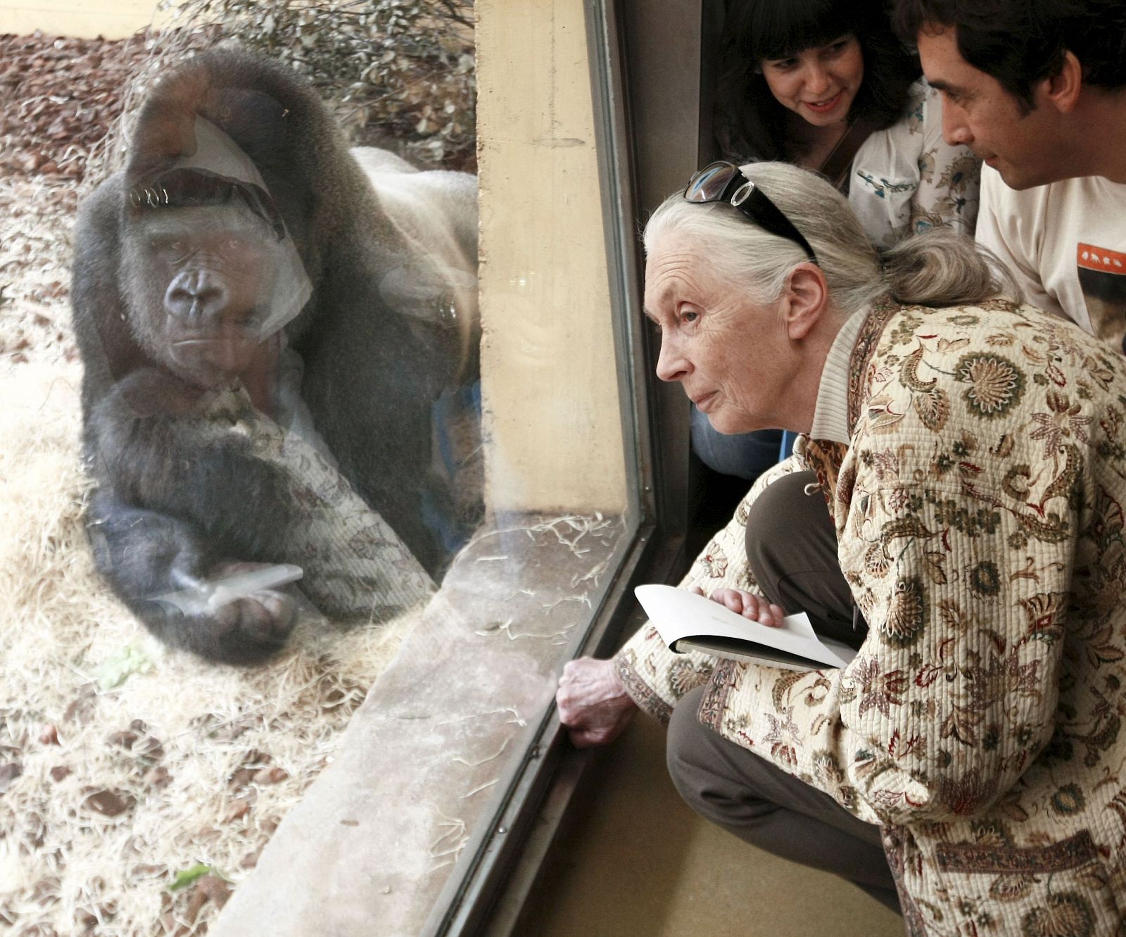 Jane Goodall, una vida dedicada a los chimpancés - Informativo 24h | Ver