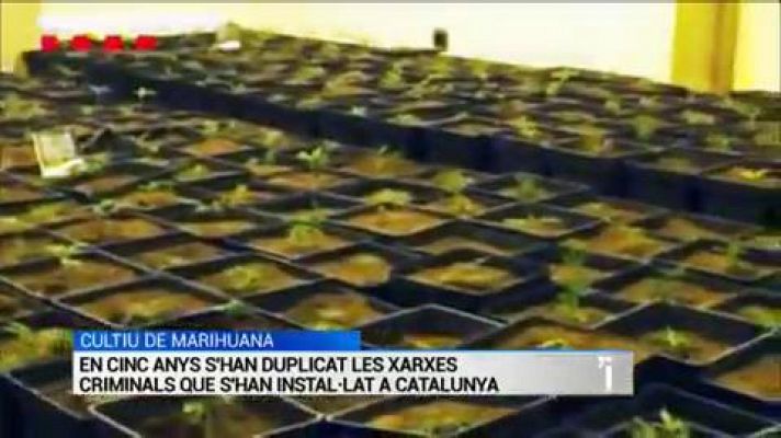 L'Informatiu - L'Informatiu 26/12/2019